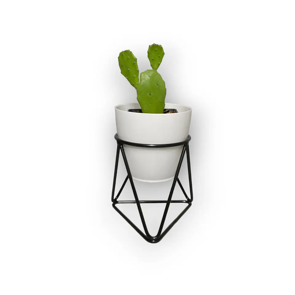 Mini Acamar 5