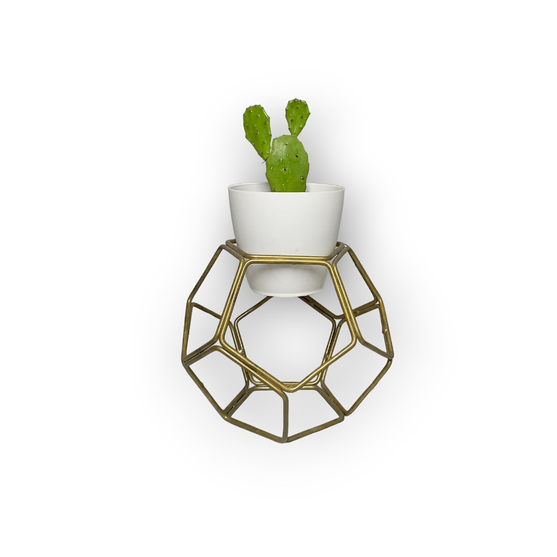 Soporte Mini Balon con matero plastico 6