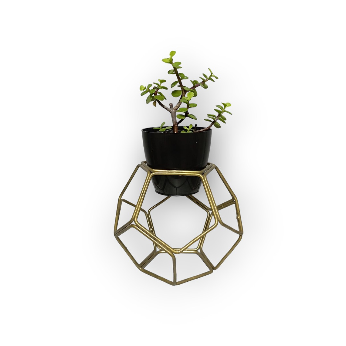 Soporte Mini Balon con matero plastico 7