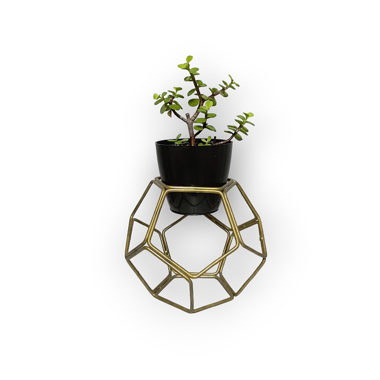 Soporte Mini Balon con matero plastico 7