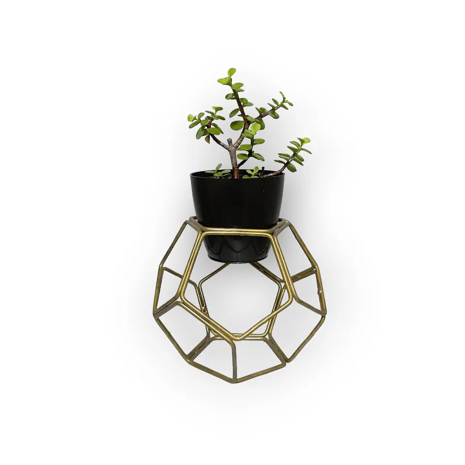 Soporte Mini Balon con matero plastico 7