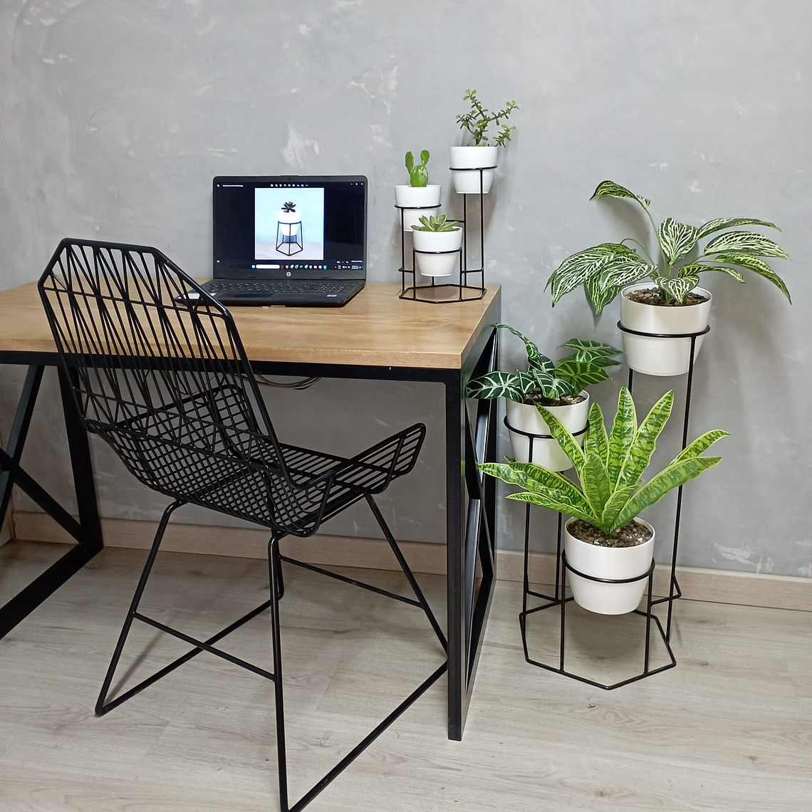 Combo Dumar: Soporte Premium para Plantas de Piso y Escritorio 2