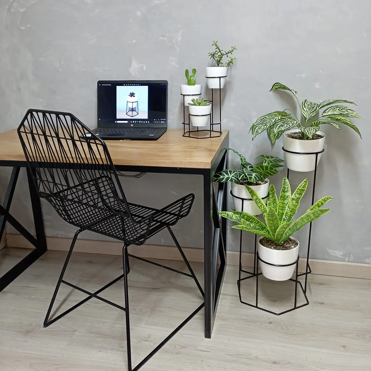 Combo Dumar: Soporte Premium para Plantas de Piso y Escritorio 3