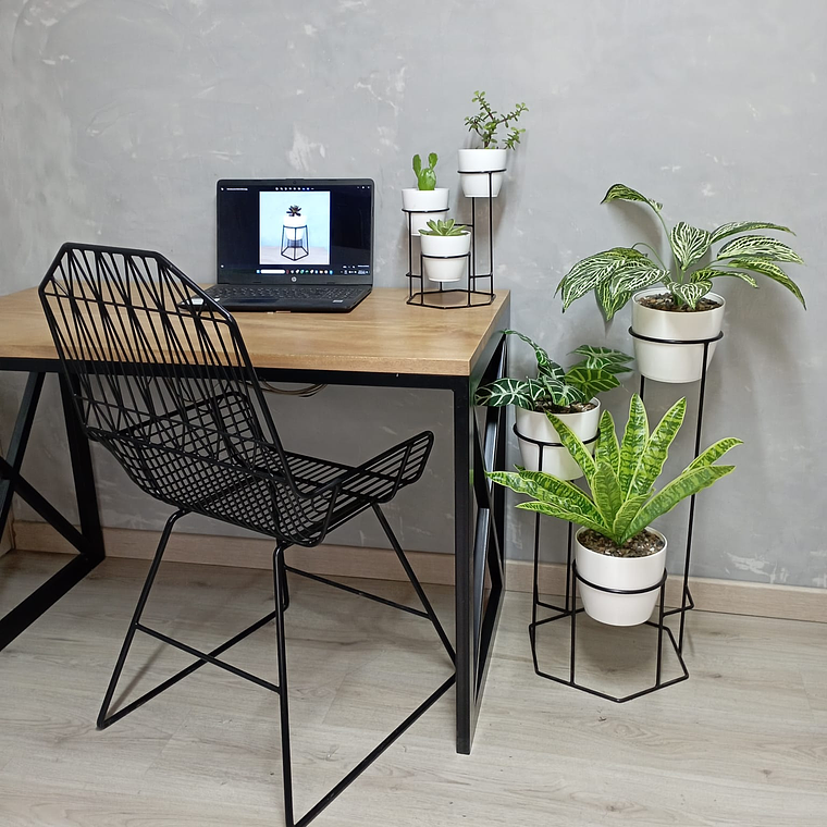 Combo Dumar: Soporte Premium para Plantas de Piso y Escritorio 2