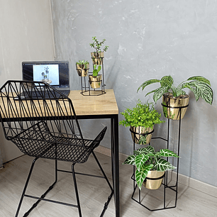 Combo Mini Dumar Con Matero Metalizado