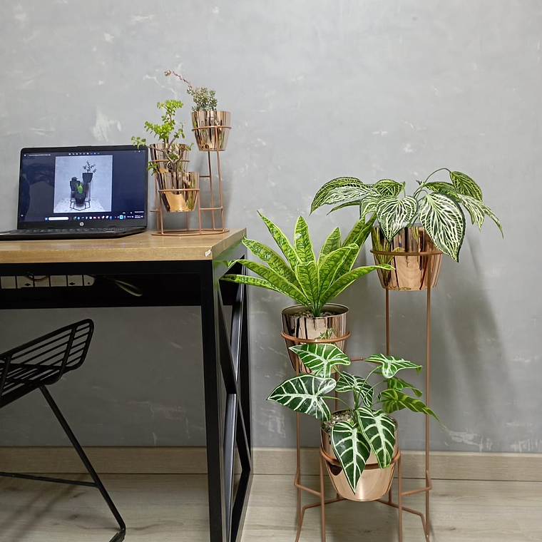 Combo Mini Dumar Con Matero Metalizado 2