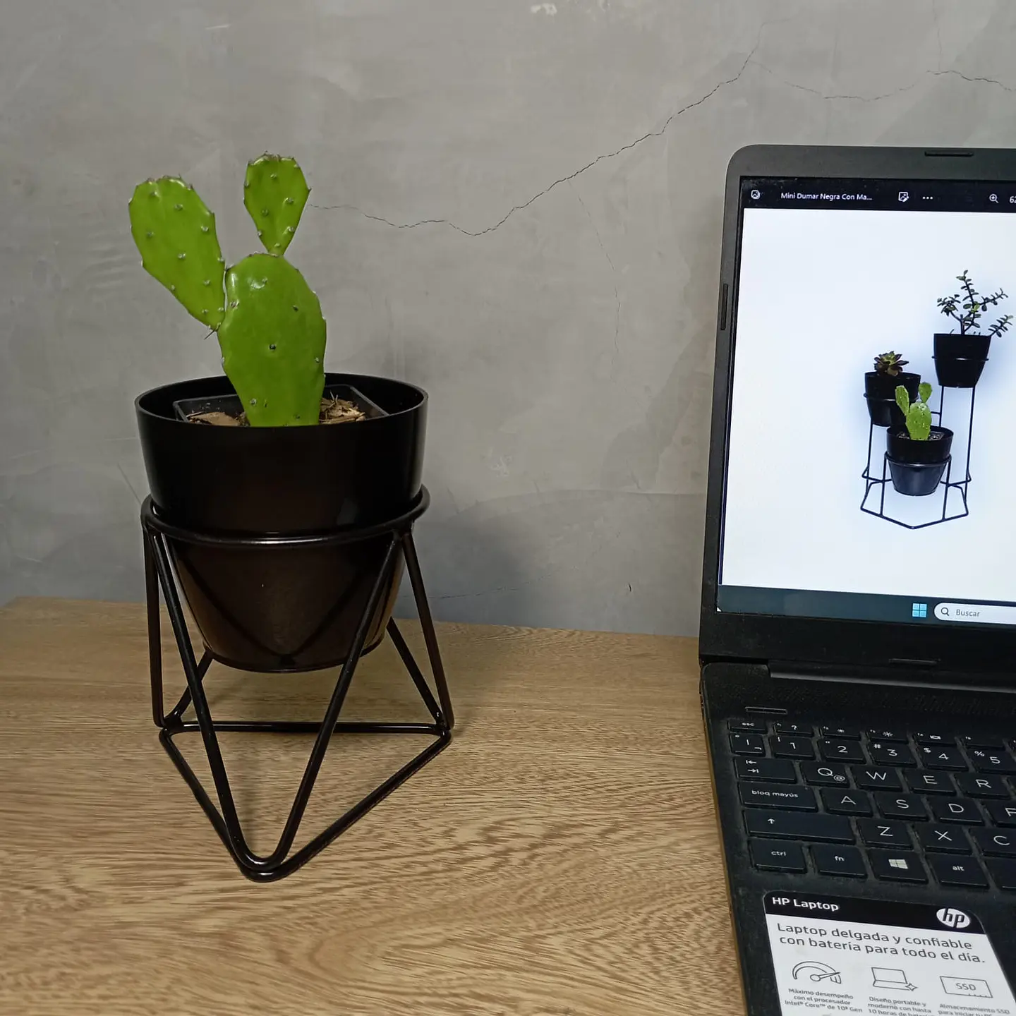 Mini Acamar 2