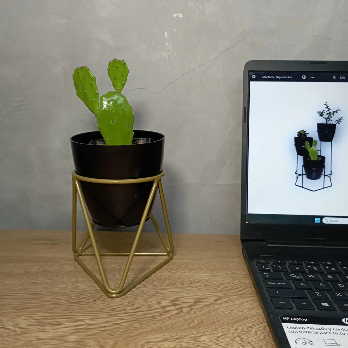 Mini Acamar 4