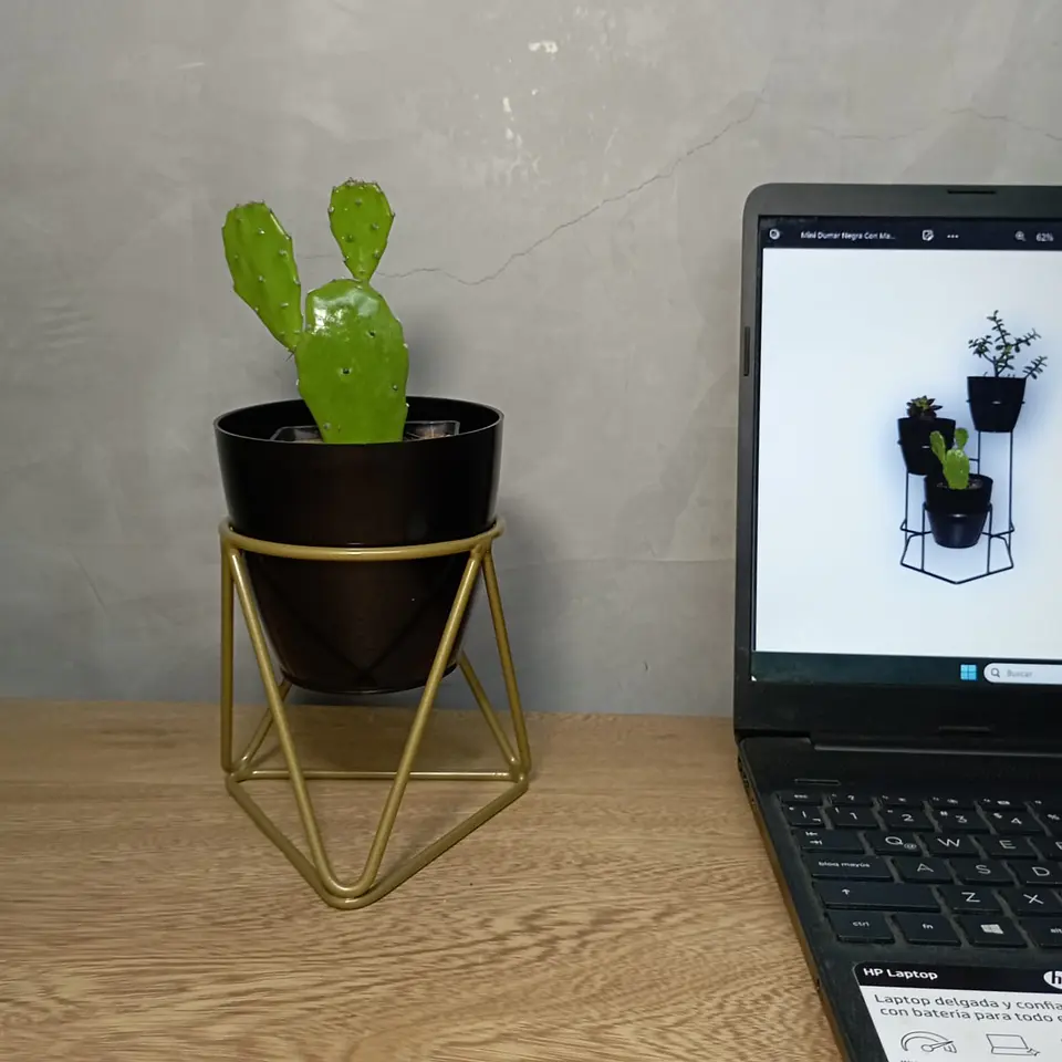 Mini Acamar 4