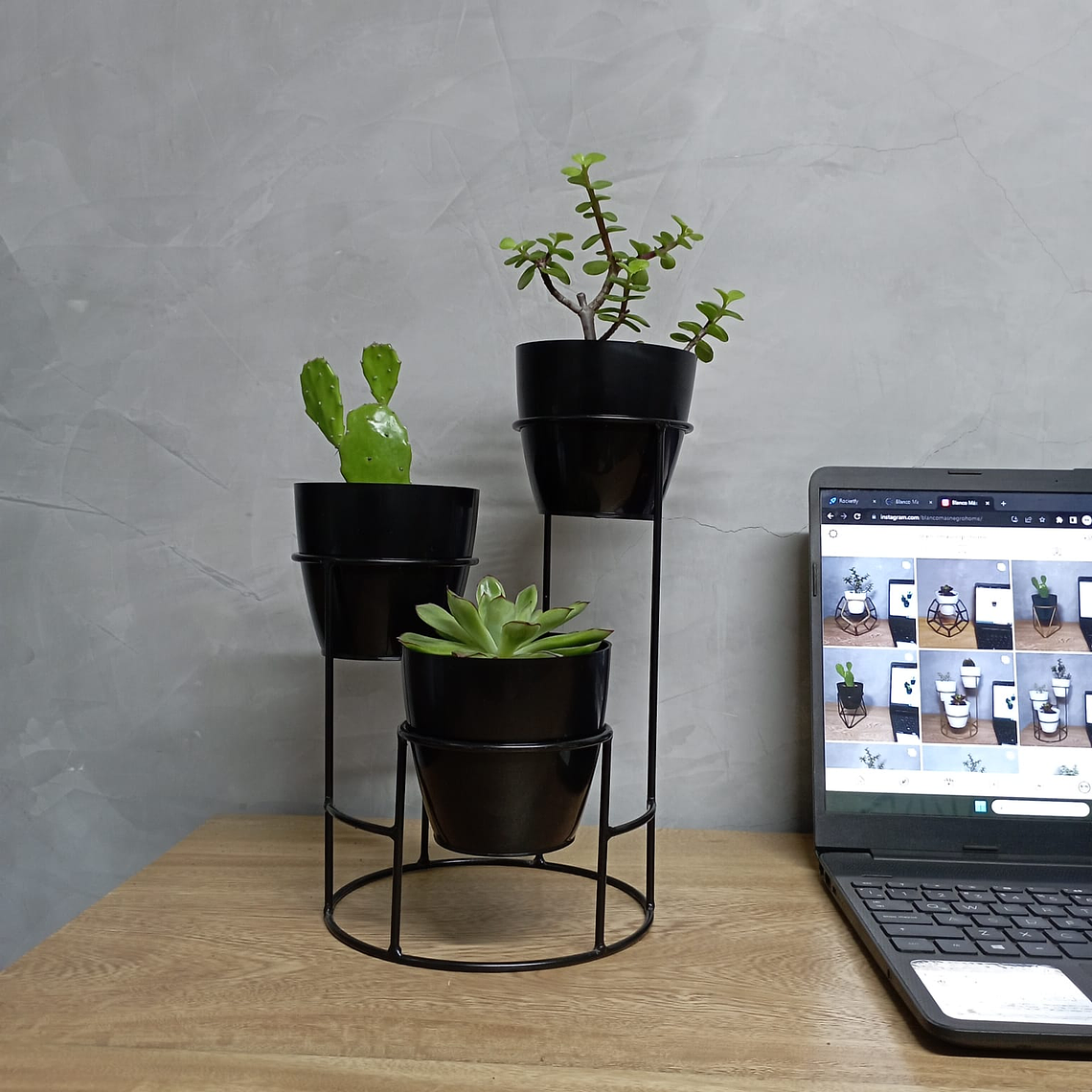 Soporte Mini Dani con 3 Materos Plasticos 2