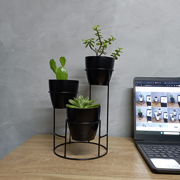 Soporte Mini Dani con 3 Materos Plasticos 2