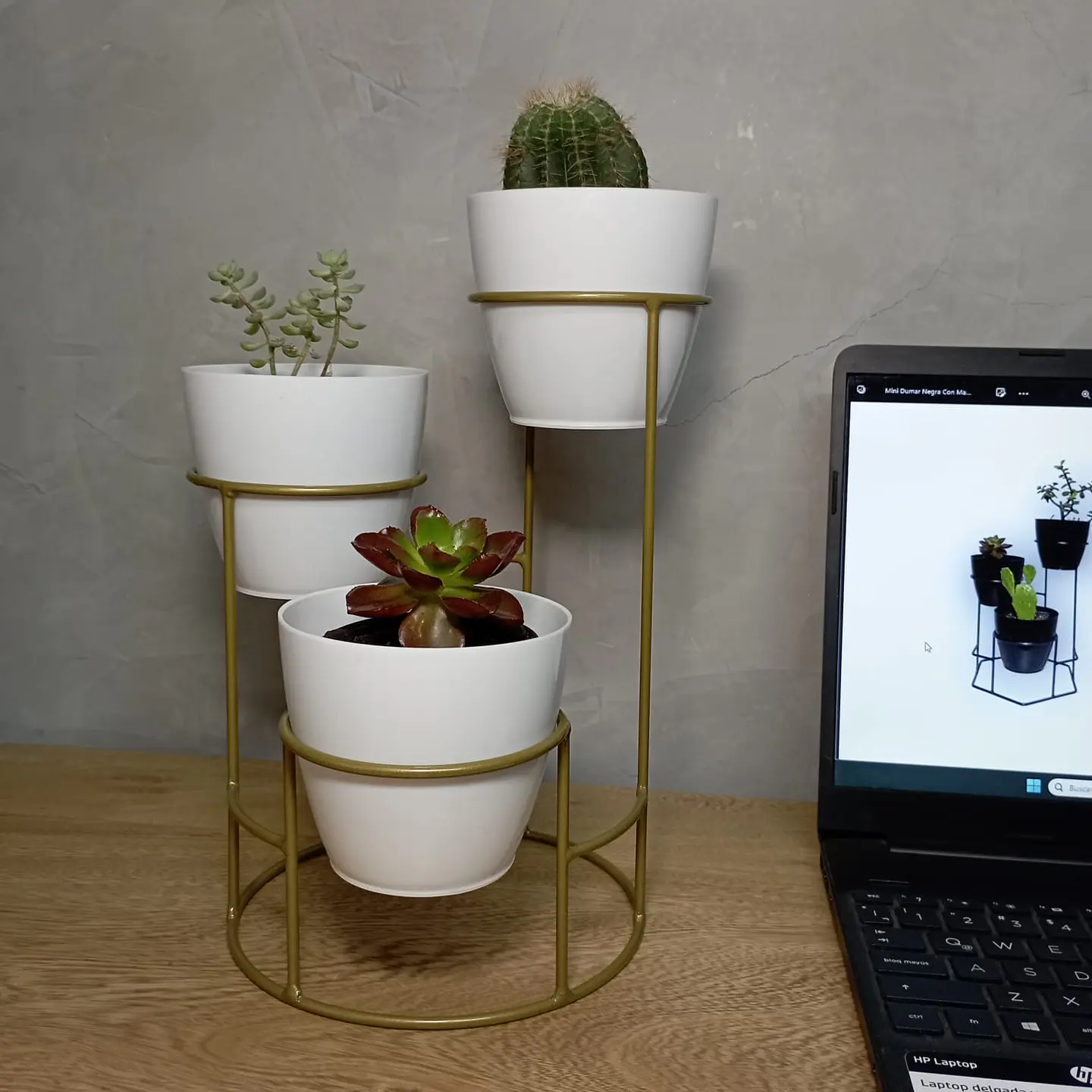 Soporte Mini Dani con 3 Materos Plasticos 3