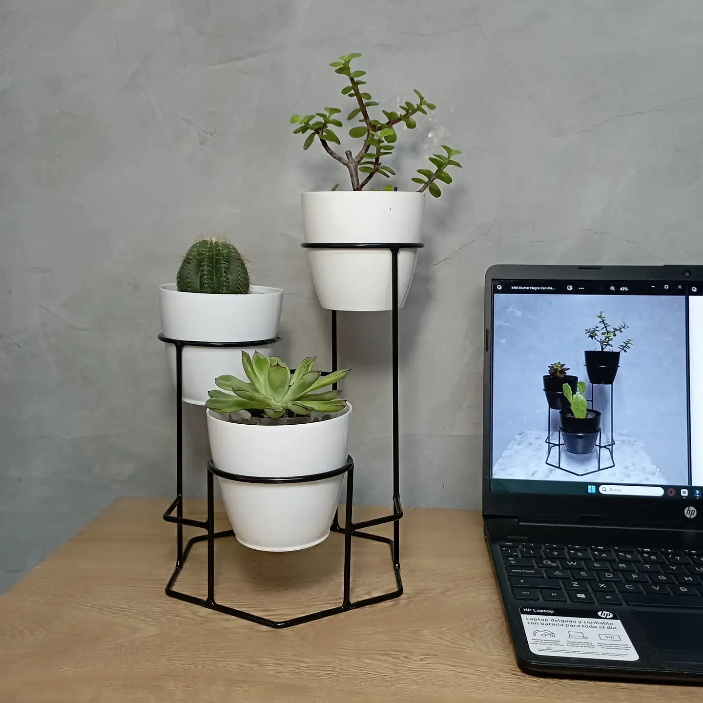 Soporte Mini Dumar con Materos Plasticos 2