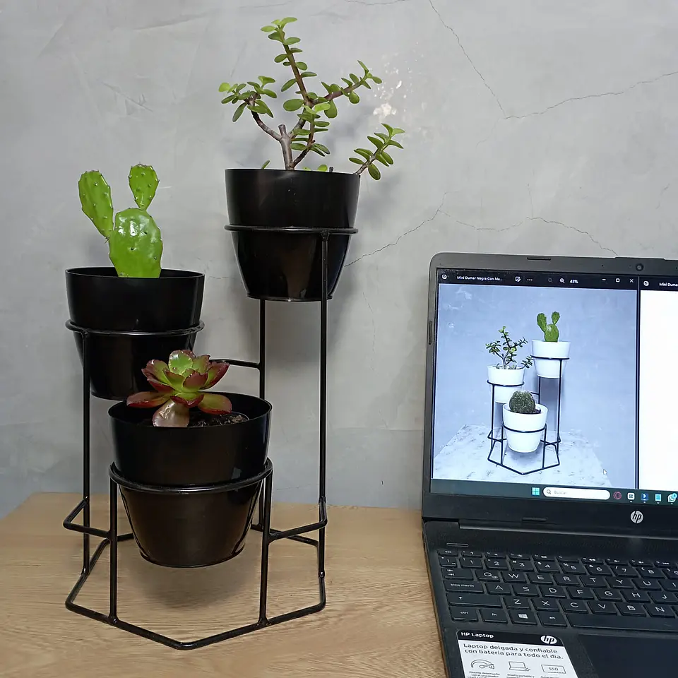 Soporte Mini Dumar con Materos Plasticos 4