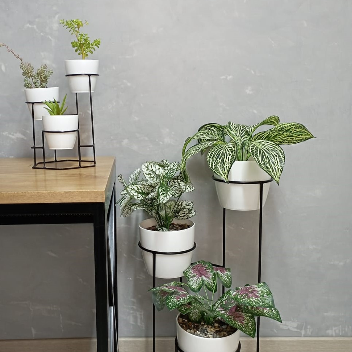 Combo Dumar: Soporte Premium para Plantas de Piso y Escritorio 3