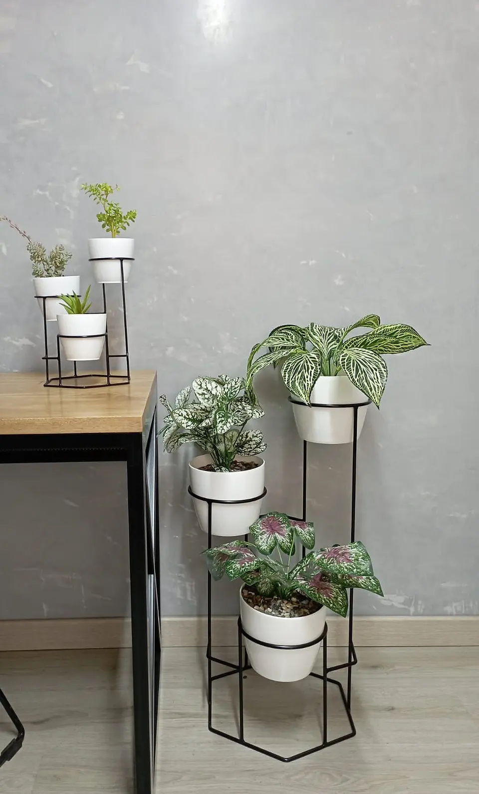 Combo Dumar: Soporte Premium para Plantas de Piso y Escritorio 4