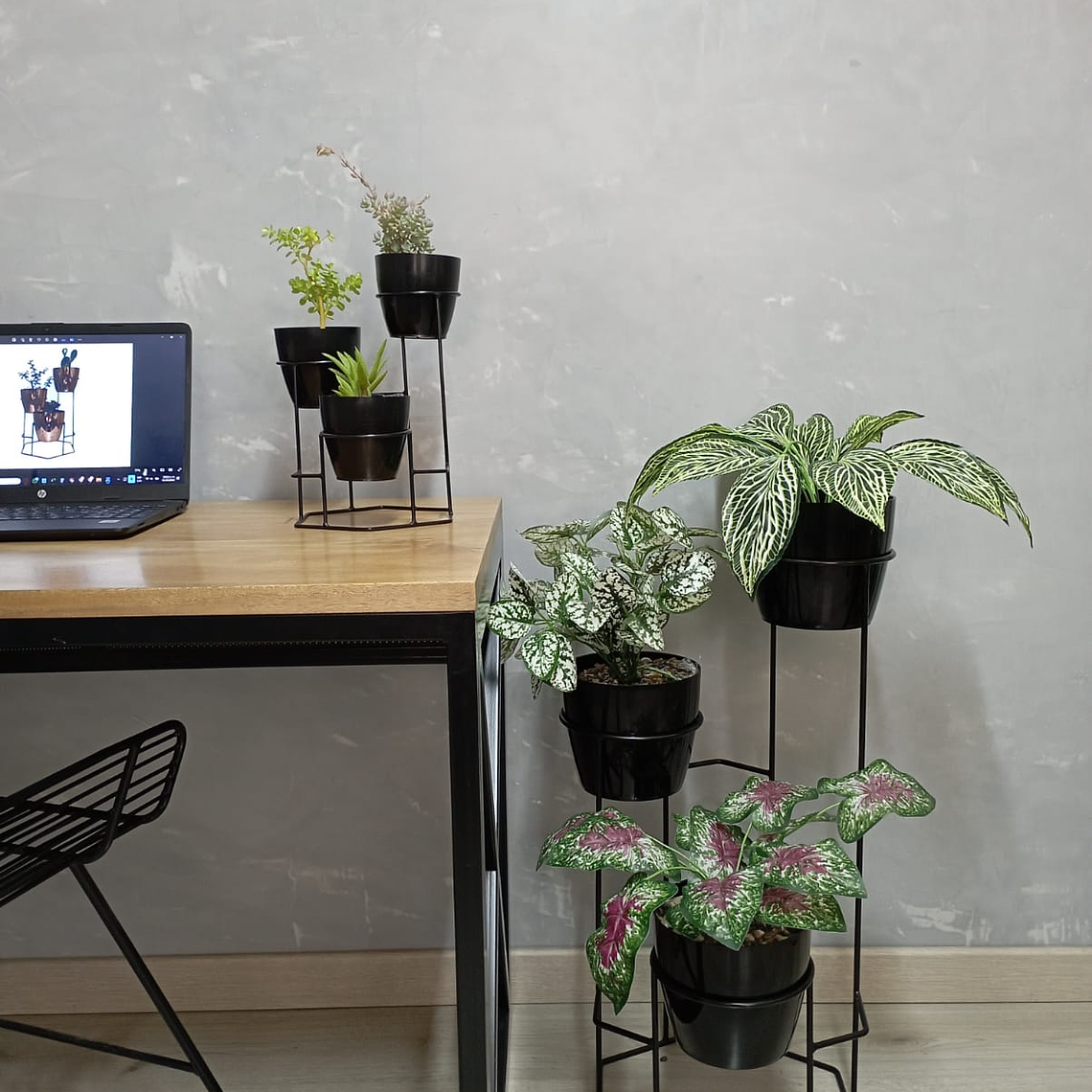 Combo Dumar: Soporte Premium para Plantas de Piso y Escritorio 4