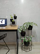Combo Dumar: Soporte Premium para Plantas de Piso y Escritorio - Miniatura 5