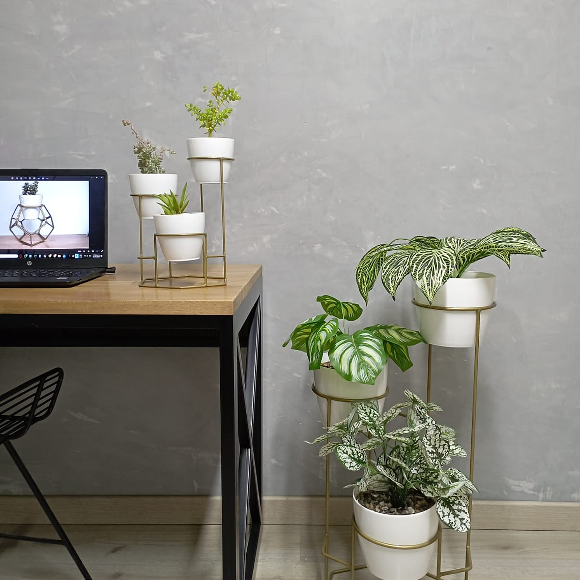 Combo Dumar: Soporte Premium para Plantas de Piso y Escritorio 5