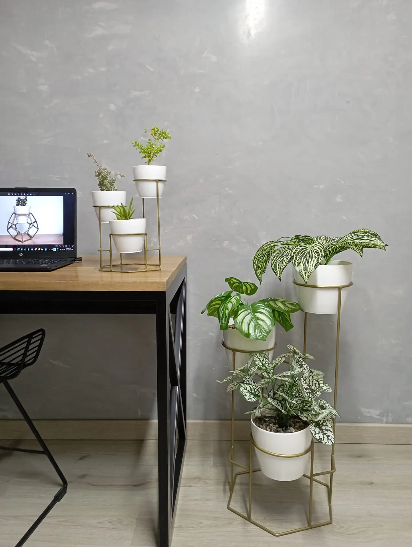 Combo Dumar: Soporte Premium para Plantas de Piso y Escritorio 6