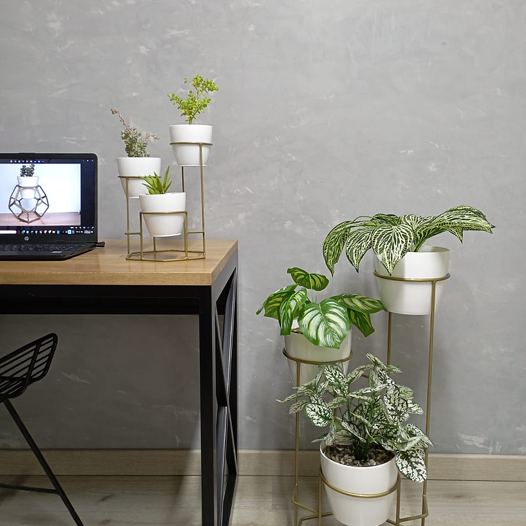 Combo Dumar: Soporte Premium para Plantas de Piso y Escritorio 5