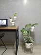 Combo Dumar: Soporte Premium para Plantas de Piso y Escritorio - Miniatura 6