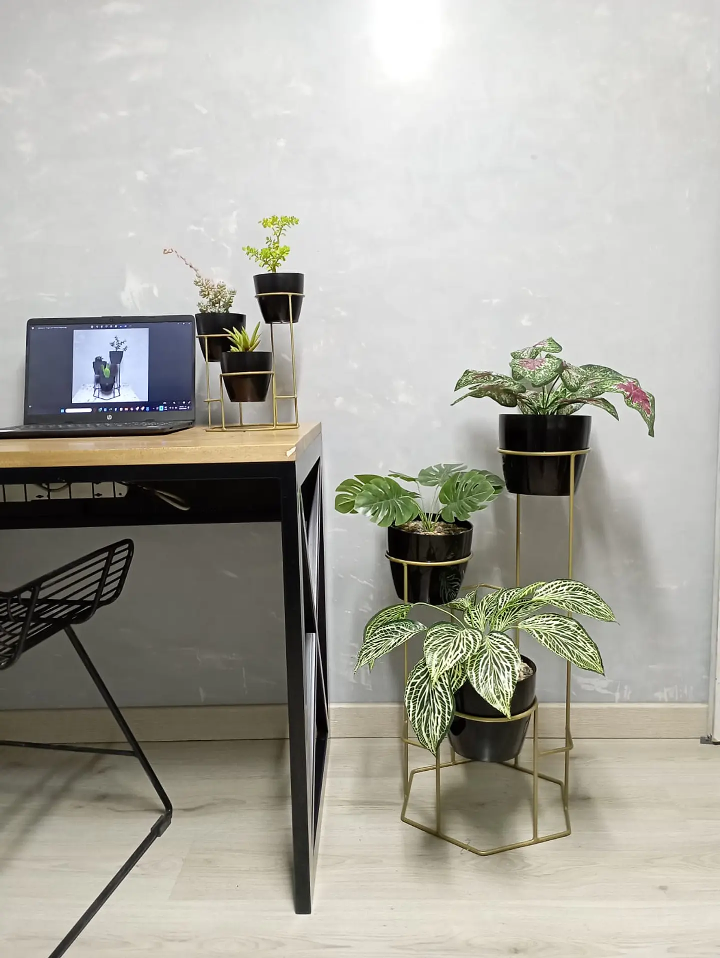 Combo Dumar: Soporte Premium para Plantas de Piso y Escritorio 7