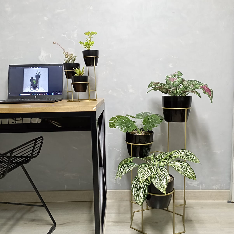 Combo Dumar: Soporte Premium para Plantas de Piso y Escritorio 6