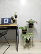 Combo Dumar: Soporte Premium para Plantas de Piso y Escritorio - Miniatura 7