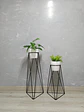 Set Base Acamar Negra Con Matero Plástico  - Miniatura 1