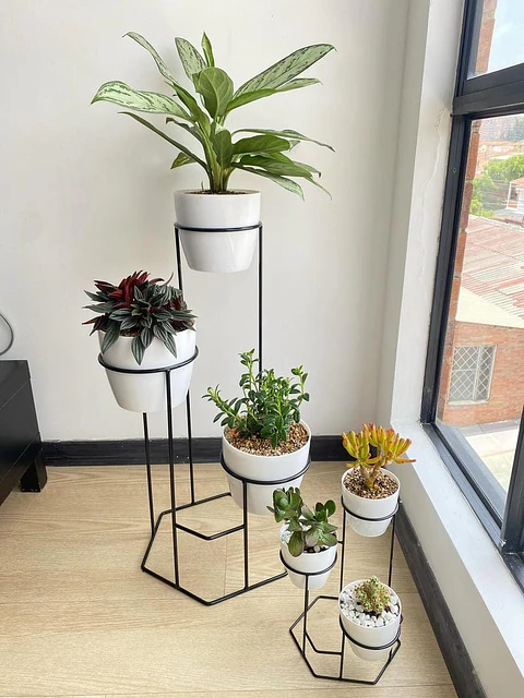 Combo Dumar: Soporte Premium para Plantas de Piso y Escritorio