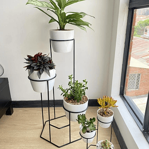 Combo Dumar: Soporte Premium para Plantas de Piso y Escritorio