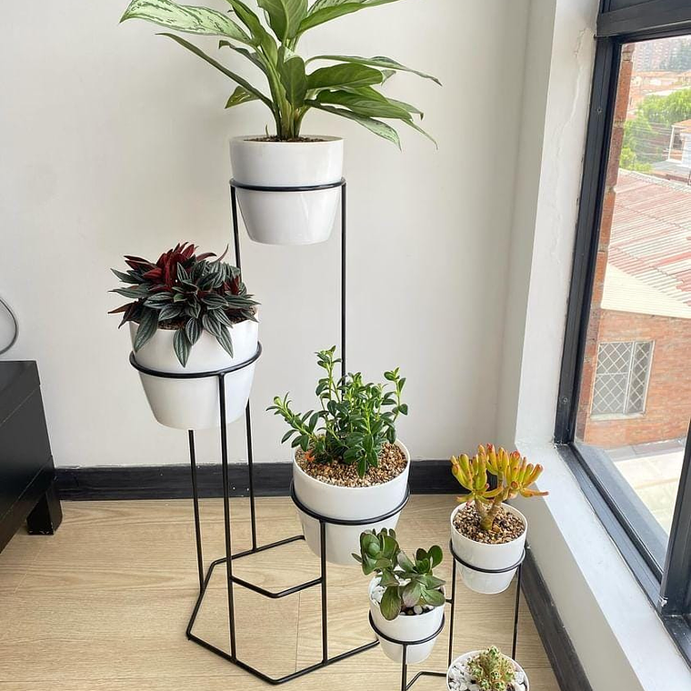 Combo Dumar: Soporte Premium para Plantas de Piso y Escritorio 1