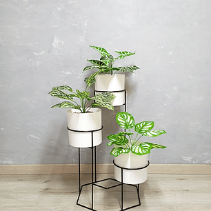 Base Dumar con Cilindros Plástico