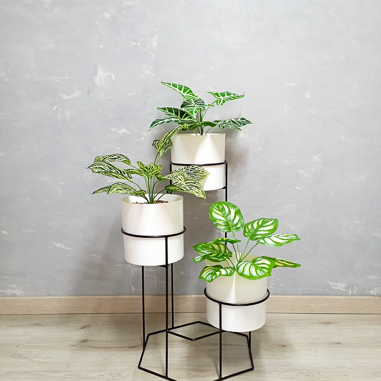 Base Dumar con Cilindros Plástico 1