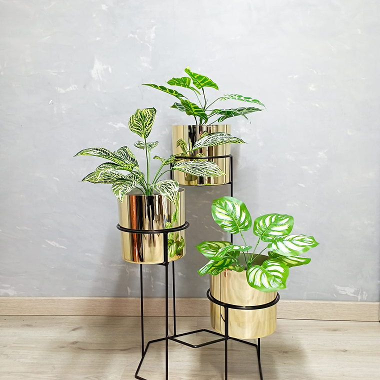 Base Dumar con Cilindros Metalizados 3