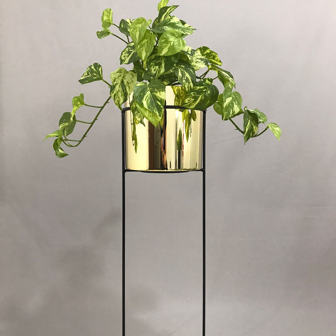 Base Cygnus 70 cm Con Cilindros Plástico 4