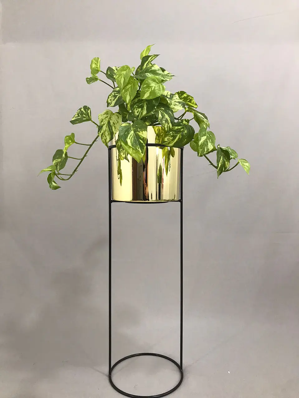Base Cygnus 70 cm Con Cilindros Plástico 4