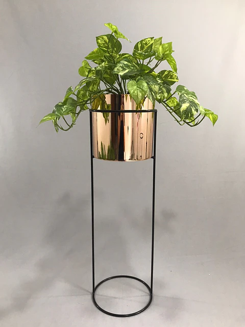 Base Cygnus 70 cm Con Cilindros Plástico