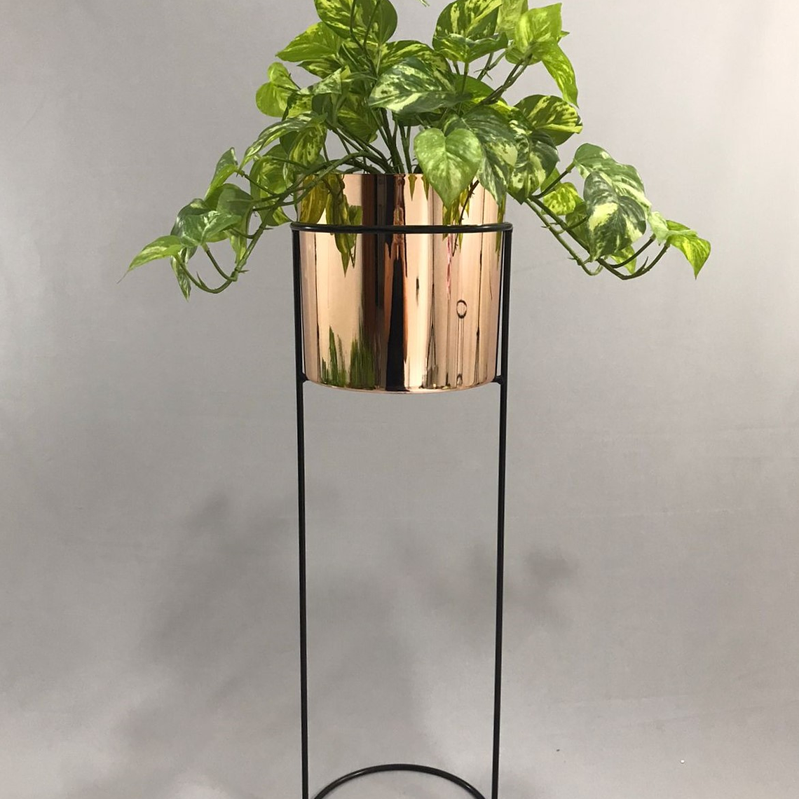 Base Cygnus 70 cm Con Cilindros Plástico 1