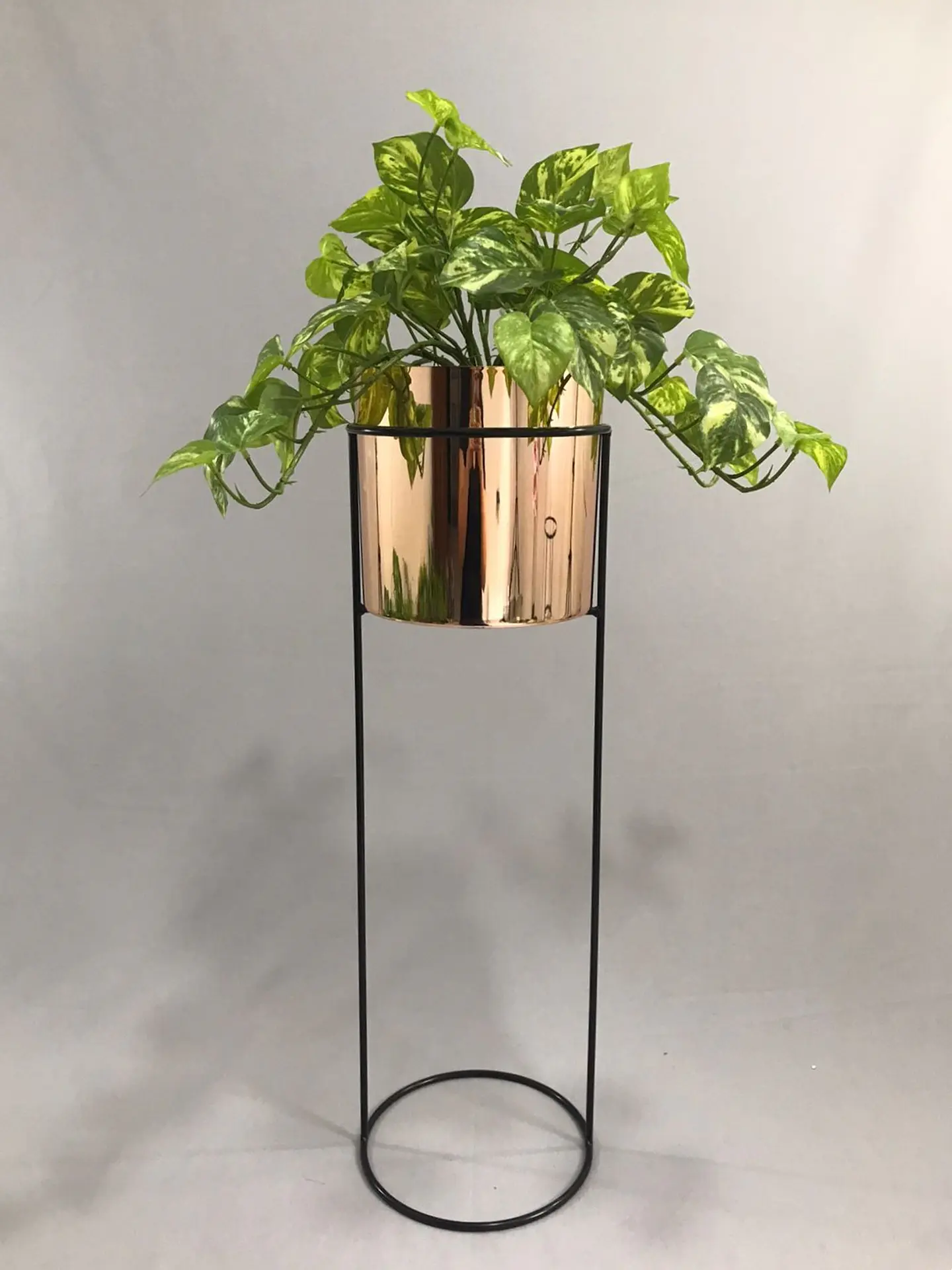 Base Cygnus 70 cm Con Cilindros Plástico 1