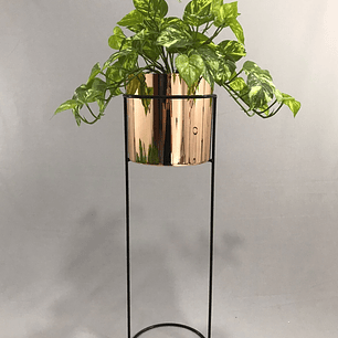 Base Cygnus 70 cm Con Cilindros Plástico