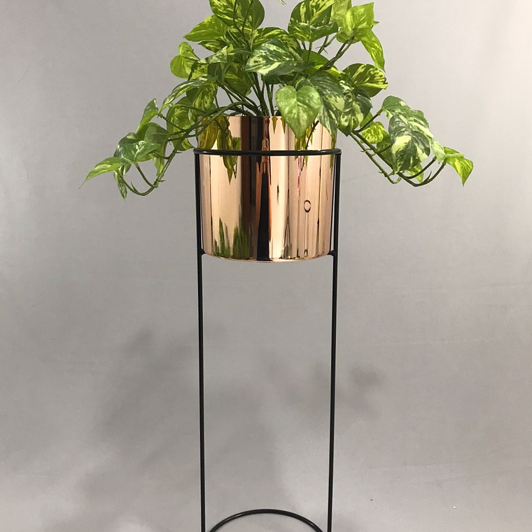 Base Cygnus 70 cm Con Cilindros Plástico 1