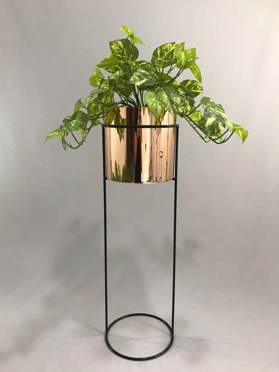Base Cygnus 70 cm Con Cilindros Plástico 1