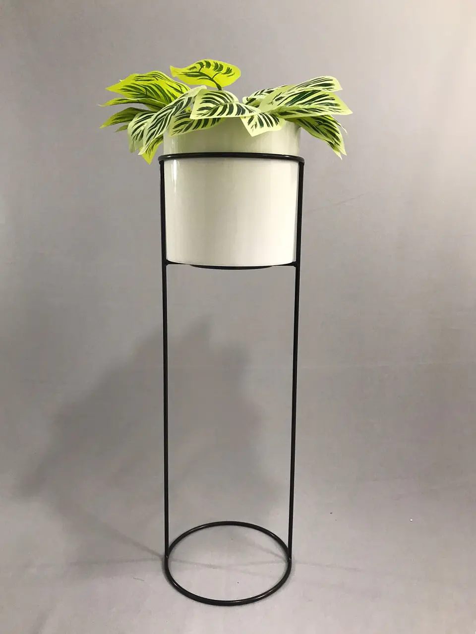 Base Cygnus 70 cm Con Cilindros Plástico 6