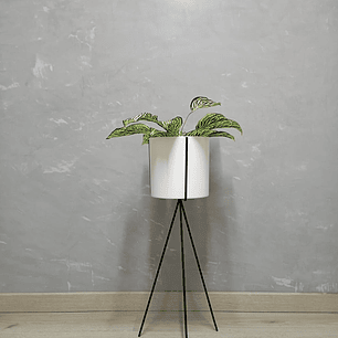 Base Diorita 70 cm con Matero Plástico 