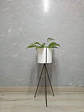 Base Diorita 70 cm con Matero Plástico  - Miniatura 1