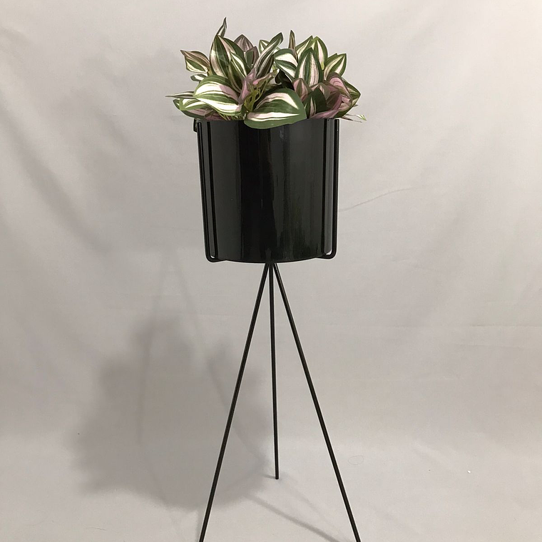 Base Diorita 70 cm con Matero Plástico  2