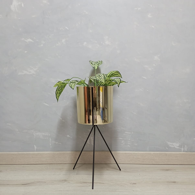 Base Diorita 50 cm Con Matero Metalizado 3