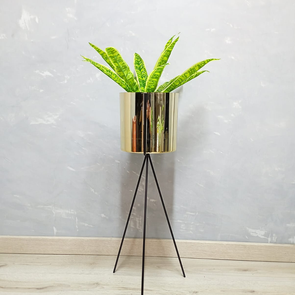 Base Diorita 70 cm con Matero Plástico 2